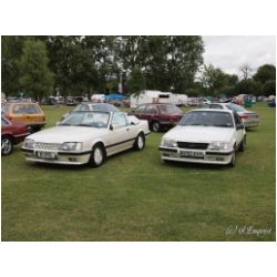 bb09_264.jpg