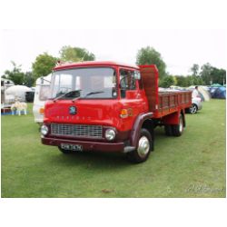 bb09_303.jpg